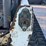 2012-bobcat-t870-image-10