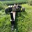 #5489-•-heavy-duty-log-splitter-on-wheels-image-2