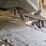 #21999-•-2020-hyundai-hx220lc-excavator-image-65