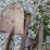 #1590-•-handled-tools-image-4