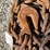 #1688-•-(2)-chains-with-hooks-image-2