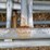 #21589-•-7--galvanized-corral-panels-image-20