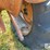 1953-allis-chalmers-wd-image-17