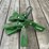 john-deere-b-image-2