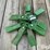 john-deere-b-image-9
