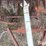 international-1100-image-10