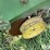 john-deere-7000-image-11