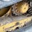 2021-caterpillar-299d3-image-12