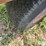 hesston-30-image-20