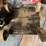 #8422-•-(4)-snowmobile-dollies-image-4