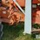 1961-allis-chalmers-d19-image-17