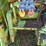 1977-steiger-panther-iii-image-12
