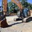 2020-case-cx245dsr-image-9