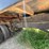 1996-international-acco-1950a-image-50