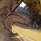 2020-caterpillar-d5-lgp-image-65