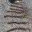 qty-(9)-sets-3'-chain-slings-with-hooks-image-2