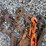 #1593-•-(4)-snap-binders-image-2