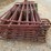 #21588-•-11--9ft.6in-midwest-corral-panels-image-4