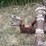 international-1100-image-9