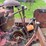 international-td14-crawler-image-10