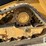2020-caterpillar-279d3-image-10