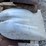 #1588-•-pile-of-various-shovels-image-3