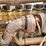 1999-peterbilt-379-image-35