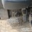 2015-caterpillar-th255c-image-21