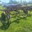 massey-ferguson-14-image-29