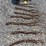 qty-(9)-sets-3'-chain-slings-with-hooks-image-1