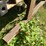 great-dane-trailer-image-26