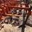 #9101-•-3-pt-field-cultivator,-4-row-custom-w/gallina-units-image-14
