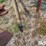 international-710-image-10