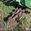john-deere-224-image-9