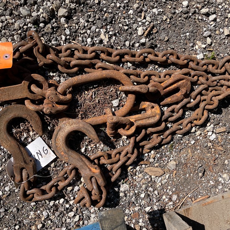 #1694 • (2) Chains with Hooks