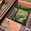 hesston-30-image-11