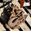 #1696-•-heavy-duty-chain-image-1