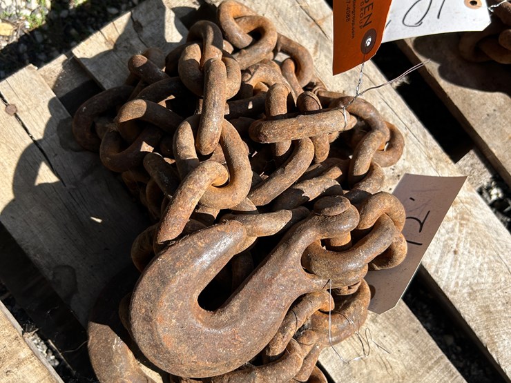 #1696-•-heavy-duty-chain-image-1