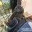2019-caterpillar-299d2-xhp-image-26
