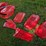 massey-ferguson-2717h-image-1