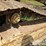 ingersoll-rand-lm500c-image-8