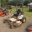 grasshopper-329-image-8