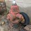 #2993-•-fire-hydrant-image-2