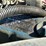 2015-wacker-neuson-rtsc-3-image-7