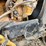 1999-peterbilt-379-image-38