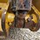 2023-caterpillar-953-image-112