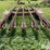 hesston-30-image-6