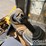 2019-caterpillar-299d2-xhp-image-27