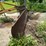 #5507-•-adjustable-angle-8'-back-blade-image-3