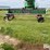new-holland-26-image-4